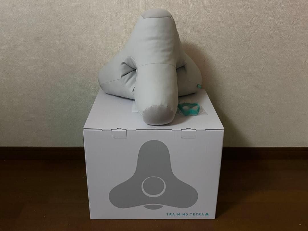 トレーニングテトラ　training tetra