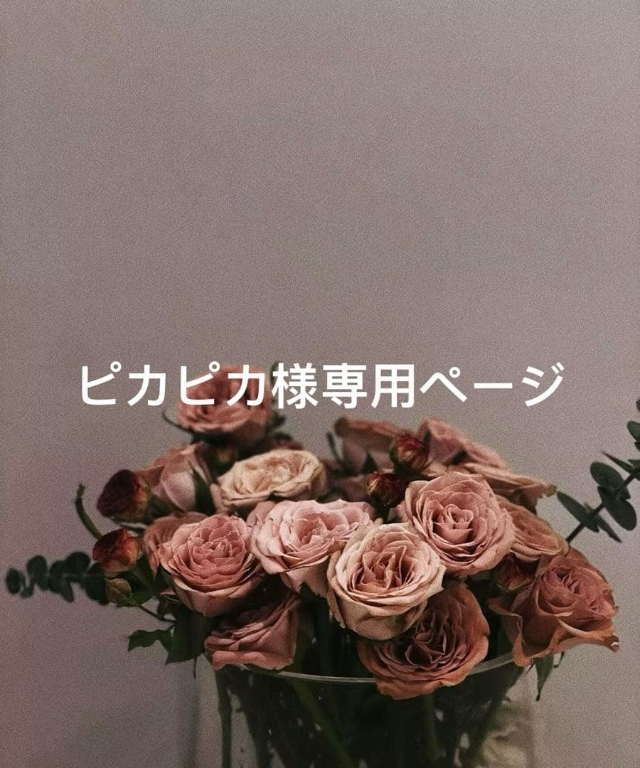 ピカピカページ