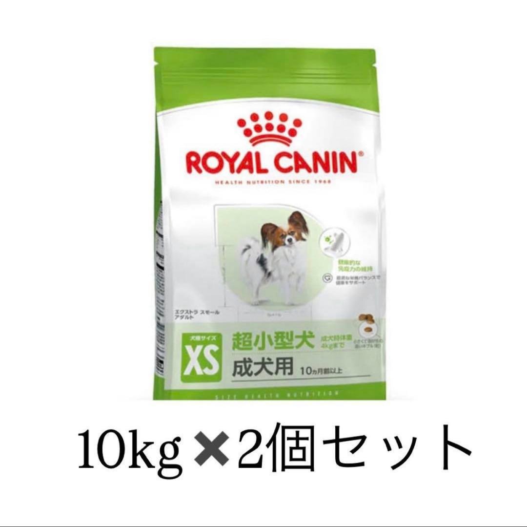  CANIN ドライフード エクストラスモールアダルト　10kg×2